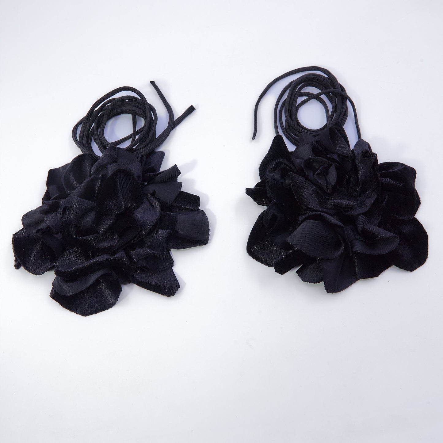 FLOR NEGRA TERCIOPELO POMERANIA