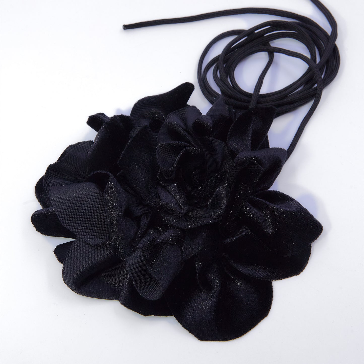 FLOR NEGRA TERCIOPELO POMERANIA